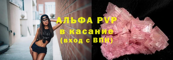 твердый Тайга