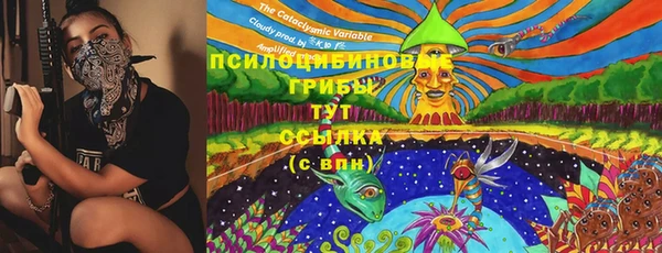 стаф Сясьстрой