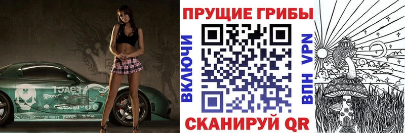 продажа наркотиков  Курчатов  Псилоцибиновые грибы Psilocybine cubensis 