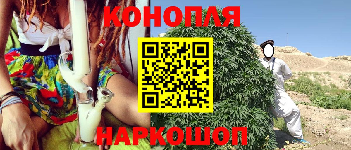 Бошки марихуана SATIVA & INDICA Курчатов